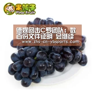 德媒回击C罗团队:数百份文件证明 会继续报道|亚博官网(图3) 亚博官网