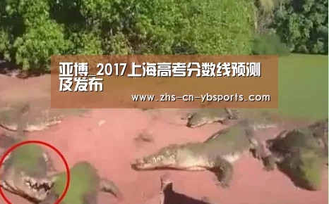 亚博_2017上海高考分数线预测及发布(图3) 亚博体育