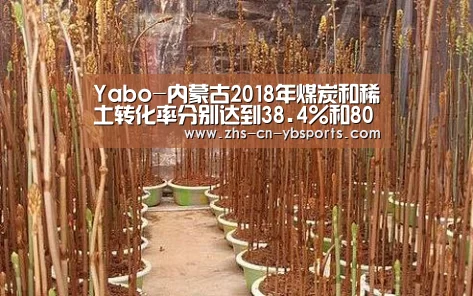Yabo-内蒙古2018年煤炭和稀土转化率分别达到38.4%和80.6%(图1) 亚博官网